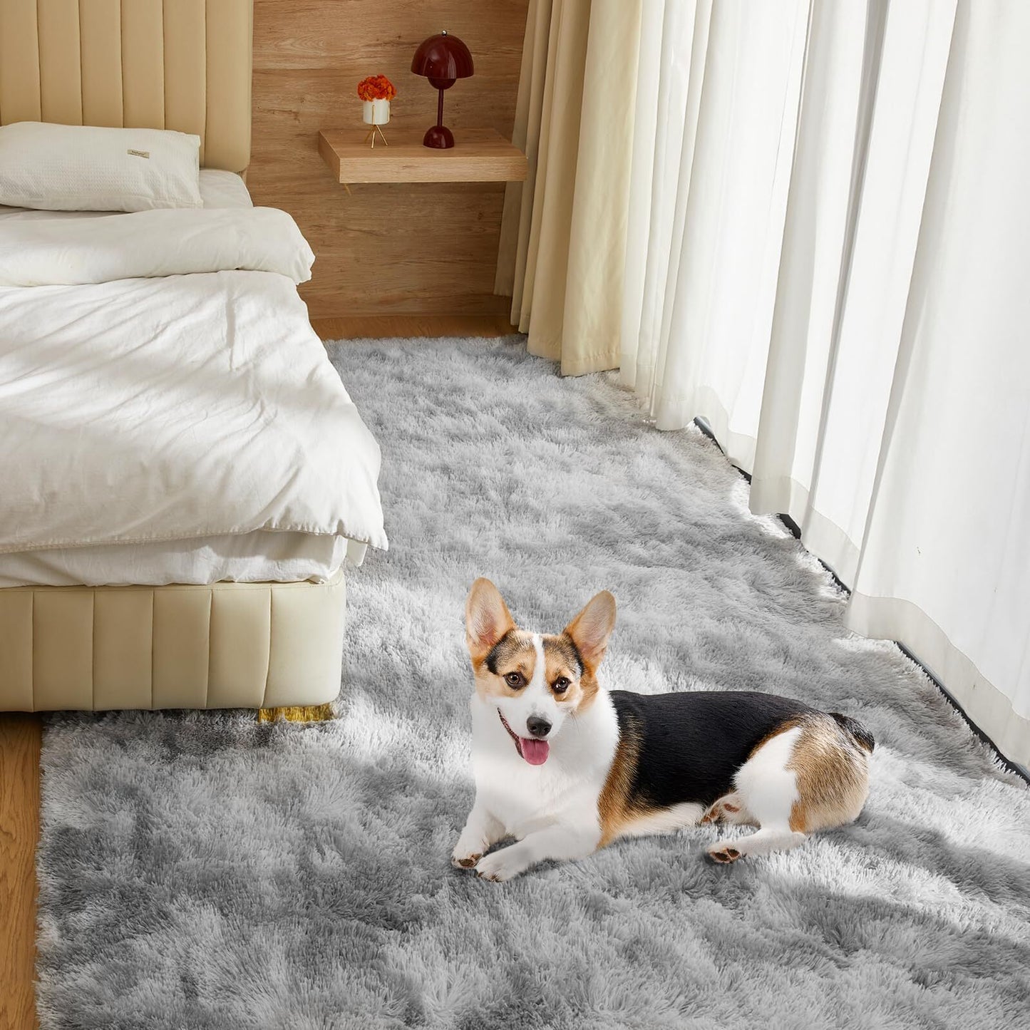 Ultra Soft Rug for Living Room, 4X6 Fluffy Shag Area Rug for Bedroom, Modern ...