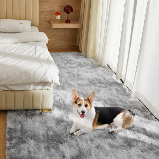 Ultra Soft Rug for Living Room, 4X6 Fluffy Shag Area Rug for Bedroom, Modern ...