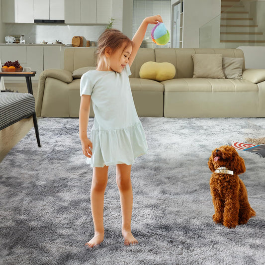 Ultra Soft Rug for Living Room, 4X6 Fluffy Shag Area Rug for Bedroom, Modern ...