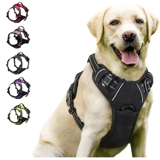 Dog Harness & Leash Set