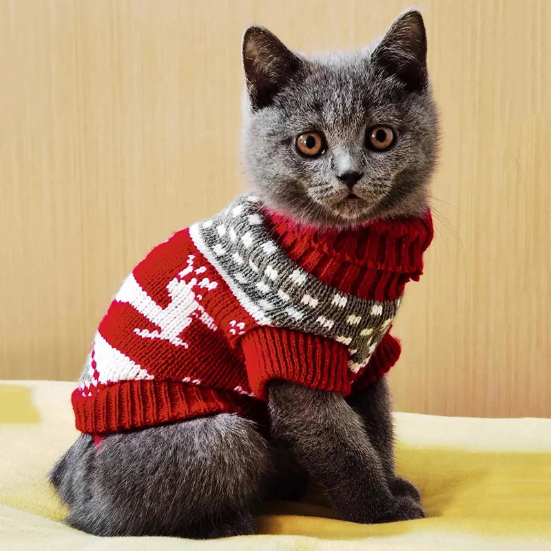 Cute Cat Winter Sweater