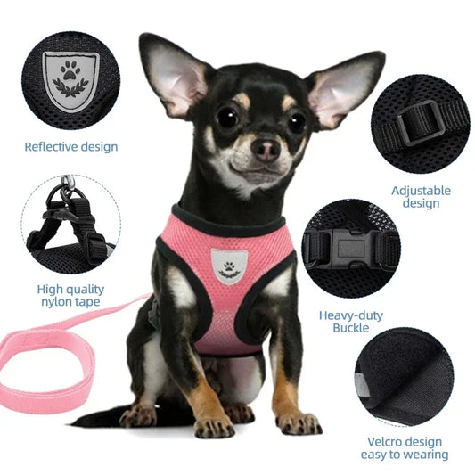 Adjustable Cat Harness & Leash Set