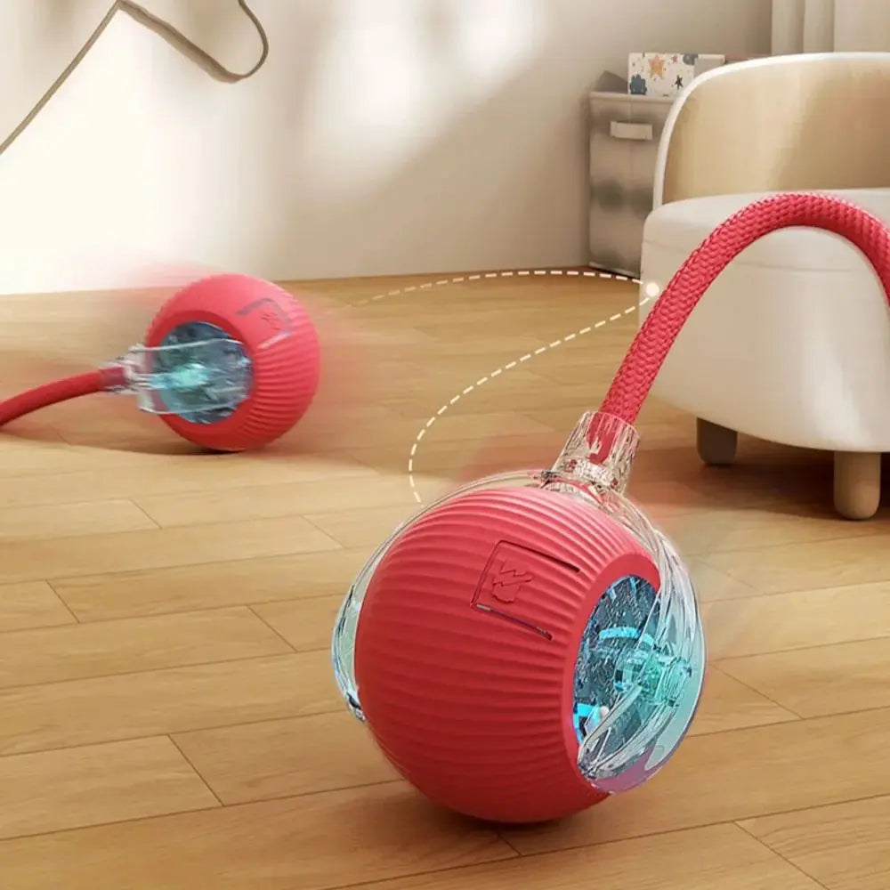 Interactive Rolling Cat Ball Toy