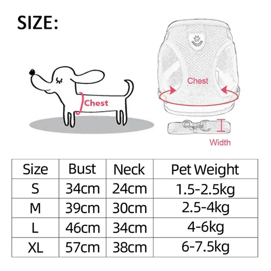 Adjustable Cat Harness & Leash Set