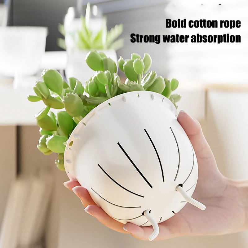 Self-Watering Plant Pot