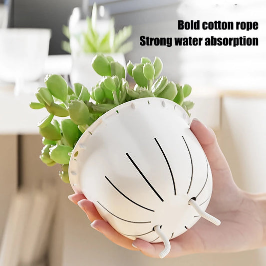 Self-Watering Plant Pot
