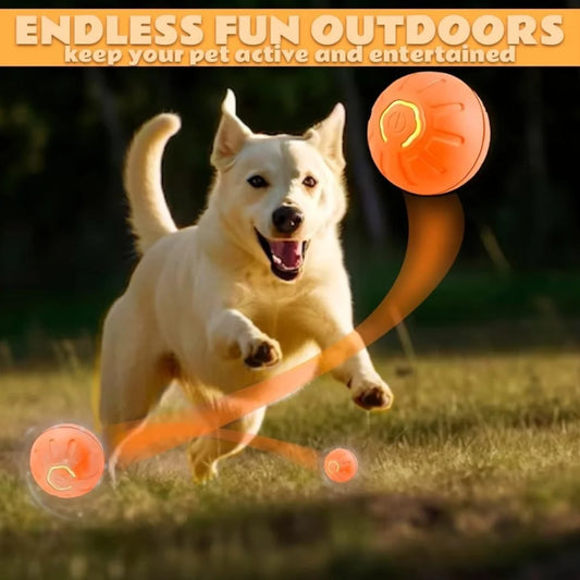 Smart Automatic Bouncing Pet Ball for Dogs & Cats
