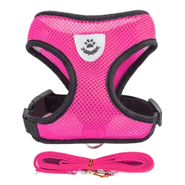 Adjustable Cat Harness & Leash Set