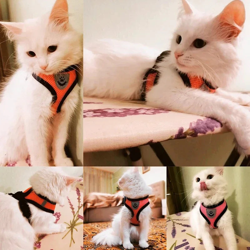 Adjustable Cat Harness & Leash Set