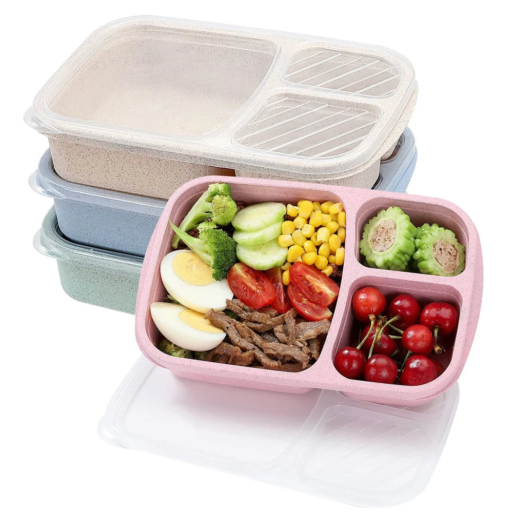 3 Compartment Food Storage Container for Meal Prep & School Lunches