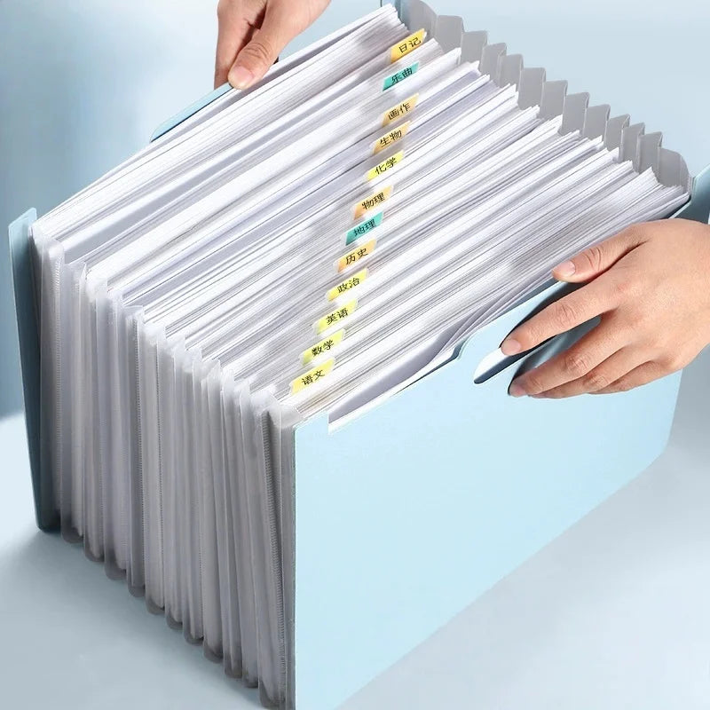 13-Pocket Expanding File Folder Organizer