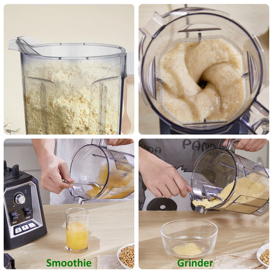 2L Professional Smoothie Blender & Ice Crusher