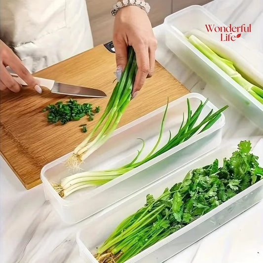 Airtight Fresh-Keeping Food Storage Box