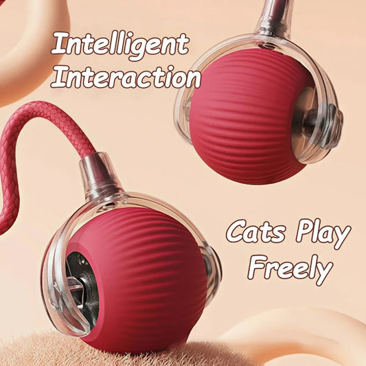 Interactive Rolling Cat Ball Toy