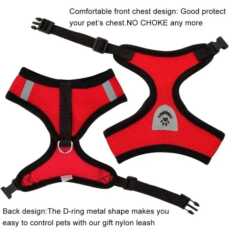 Adjustable Cat Harness & Leash Set