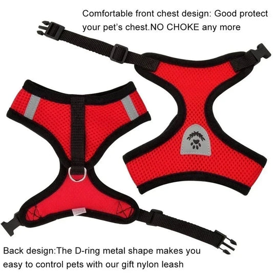 Adjustable Cat Harness & Leash Set