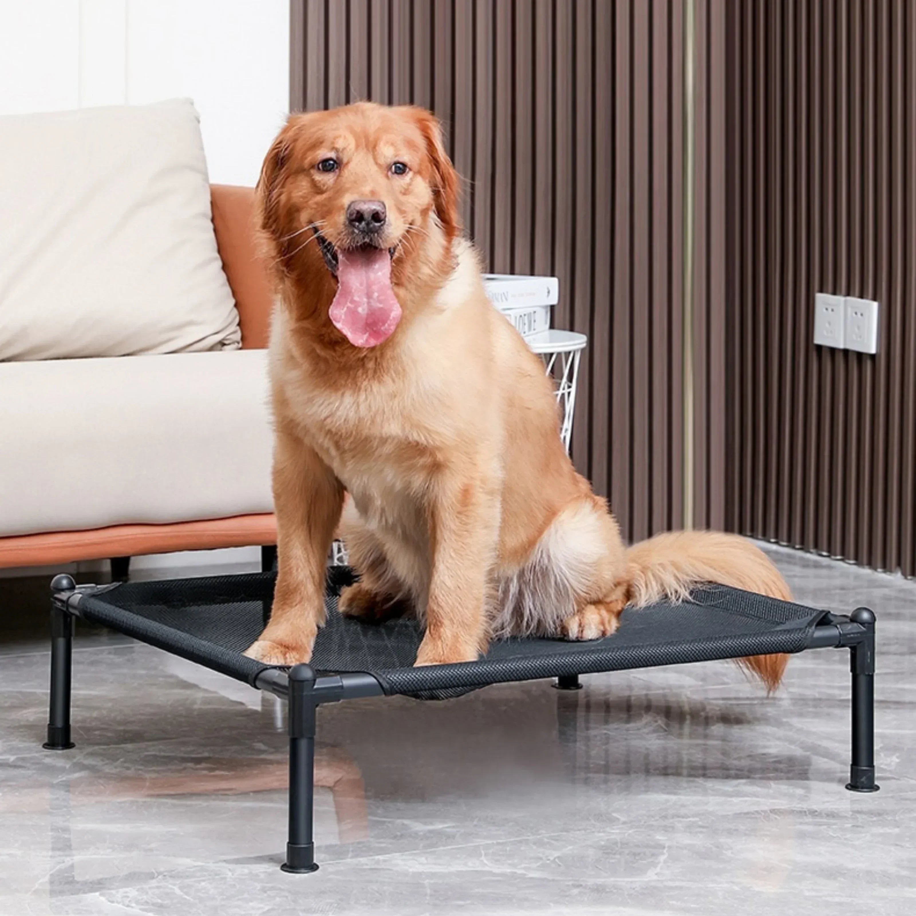 Elevated Folding Pet Bed for Dogs & Cats