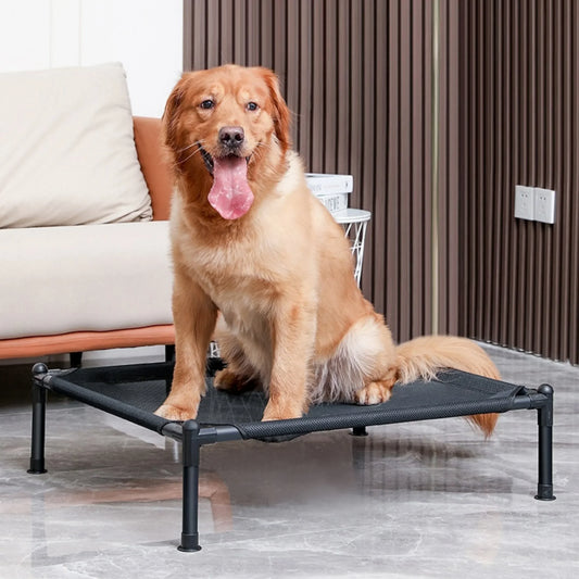 Elevated Folding Pet Bed for Dogs & Cats