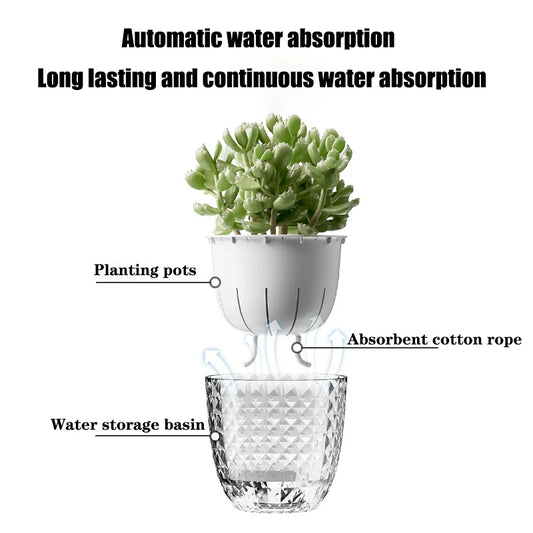 Self-Watering Plant Pot