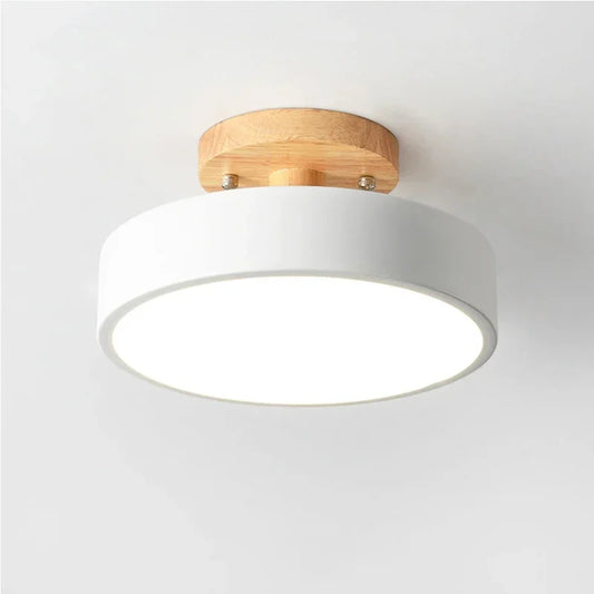 Round LED Ceiling Light