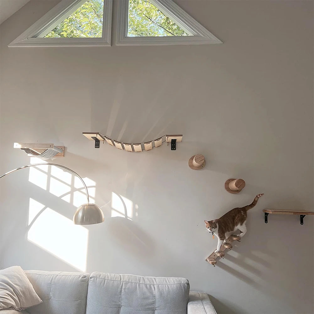 Wall Mounted Cat Climbing Shelf & Scratcher