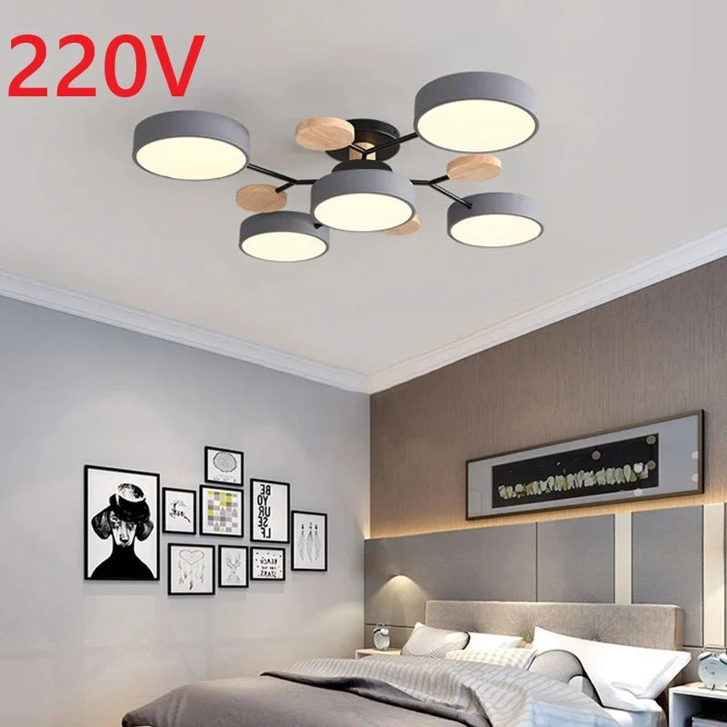 3 Colour Ceiling Light for Living Room & Bedroom