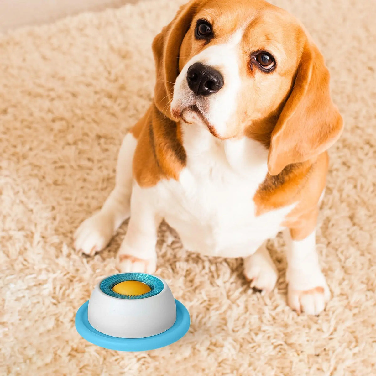Interactive Slow Feeder Puzzle Toy for Dogs & Cats