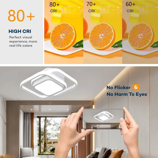 Surface Mount Light for Living Room & Hallway