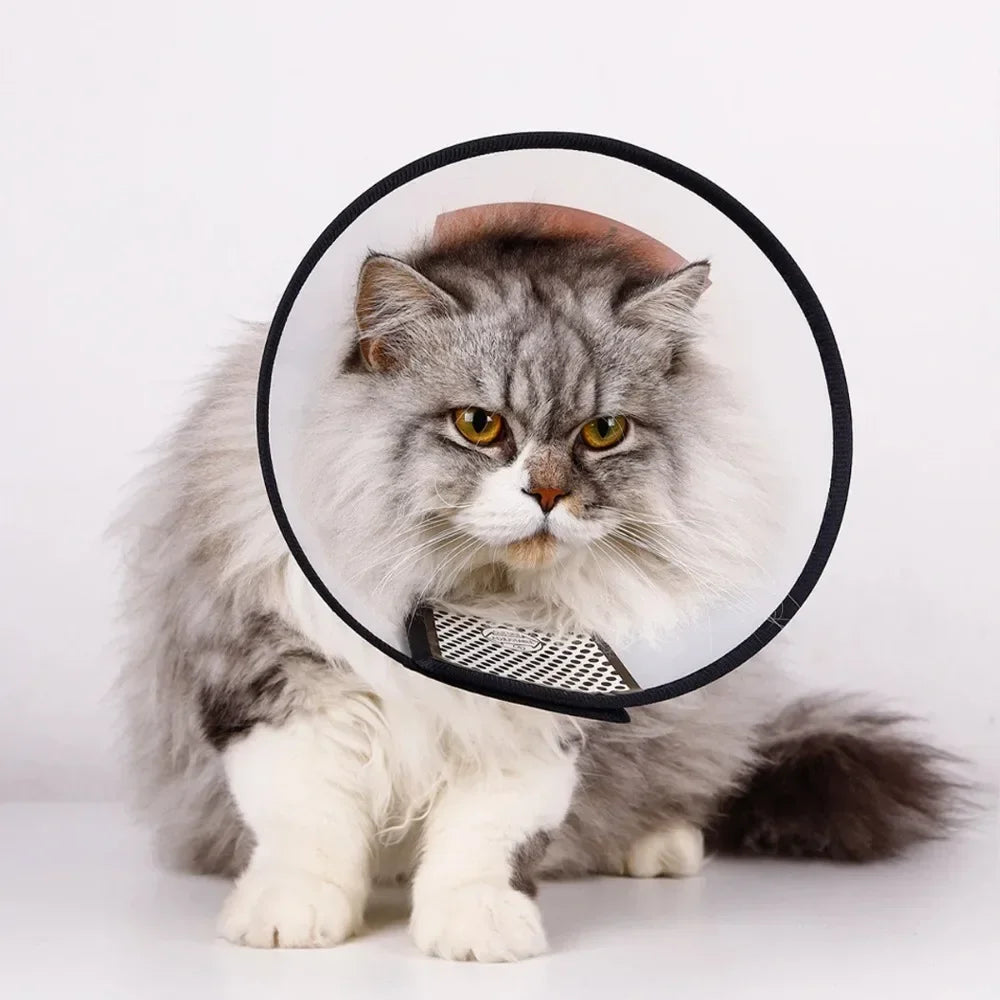 Pet Recovery Cone Collar