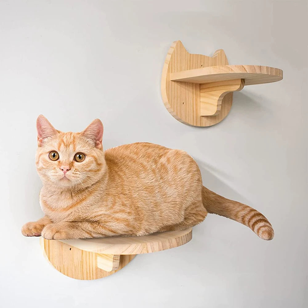 Wall Mounted Cat Climbing Shelf & Scratcher