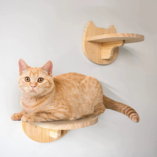 Wall Mounted Cat Climbing Shelf & Scratcher