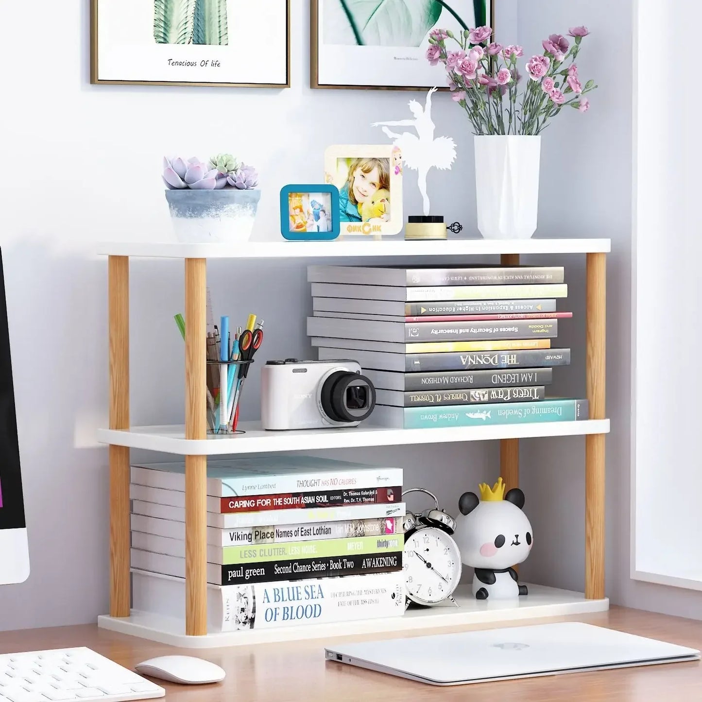 Multi-Layer Book & Office Storage Organizer