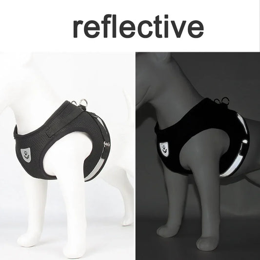 Reflective Cat Harness & Leash Set