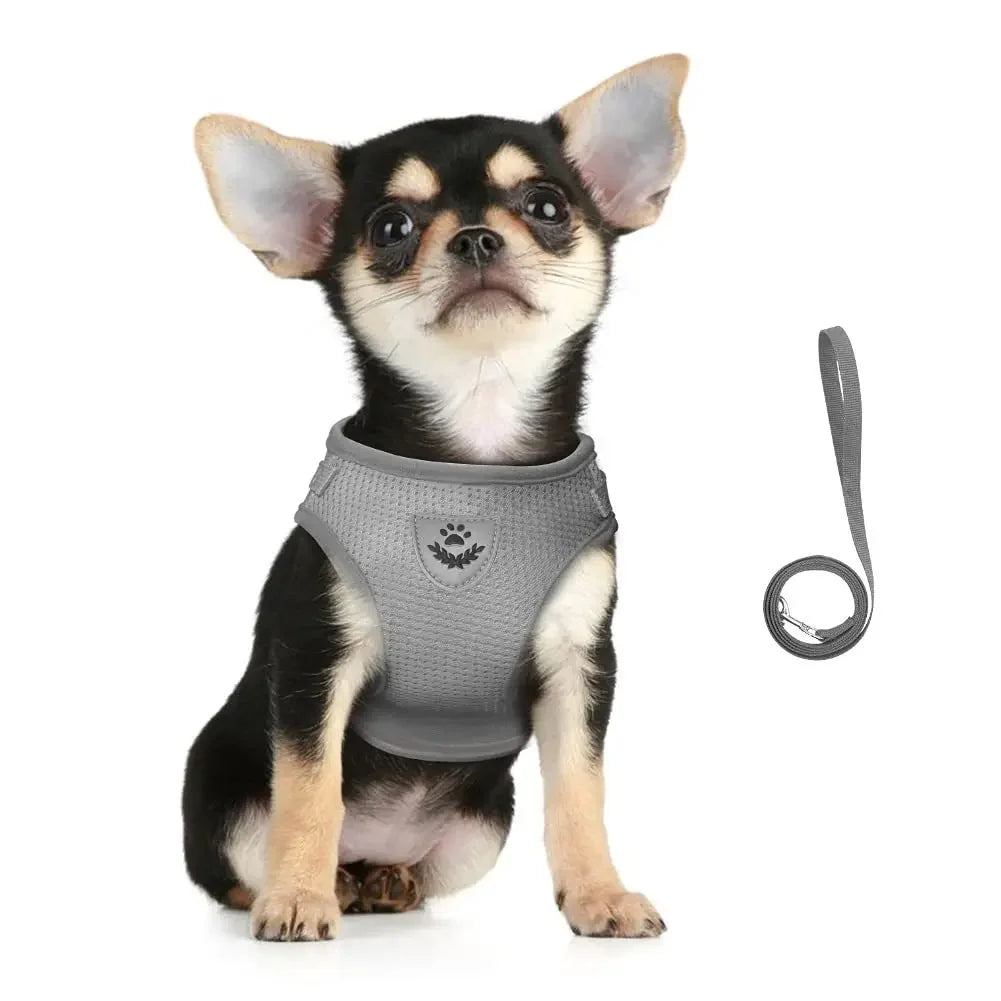 Reflective Cat Harness & Leash Set