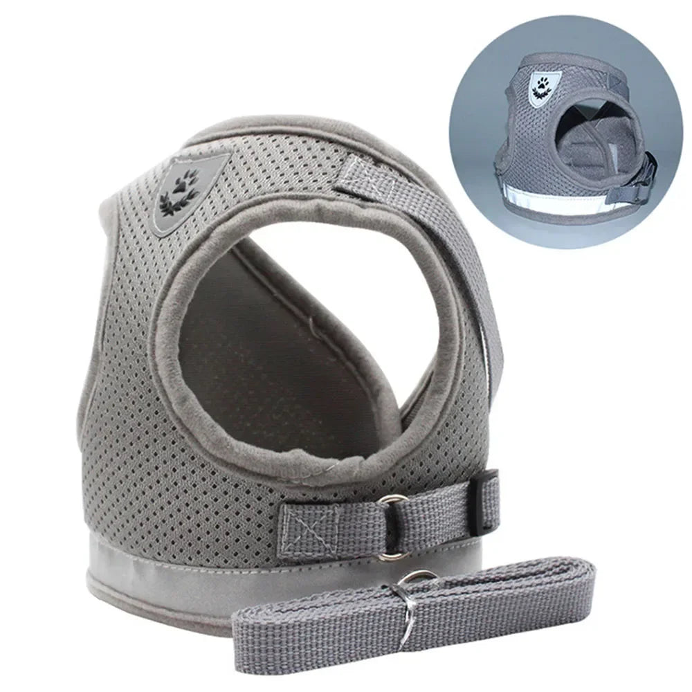 Reflective Cat Harness & Leash Set