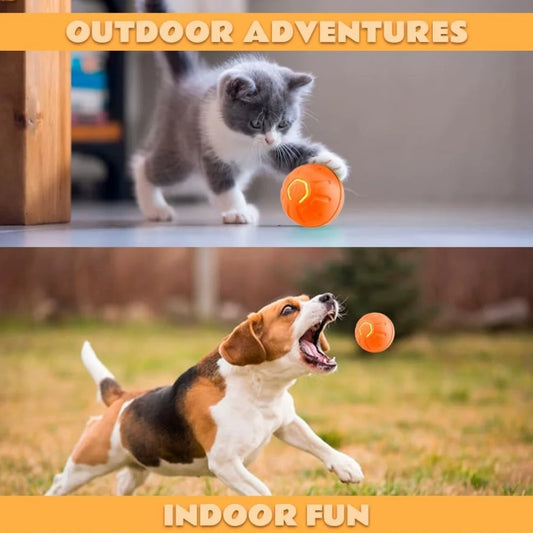 Smart Automatic Bouncing Pet Ball for Dogs & Cats