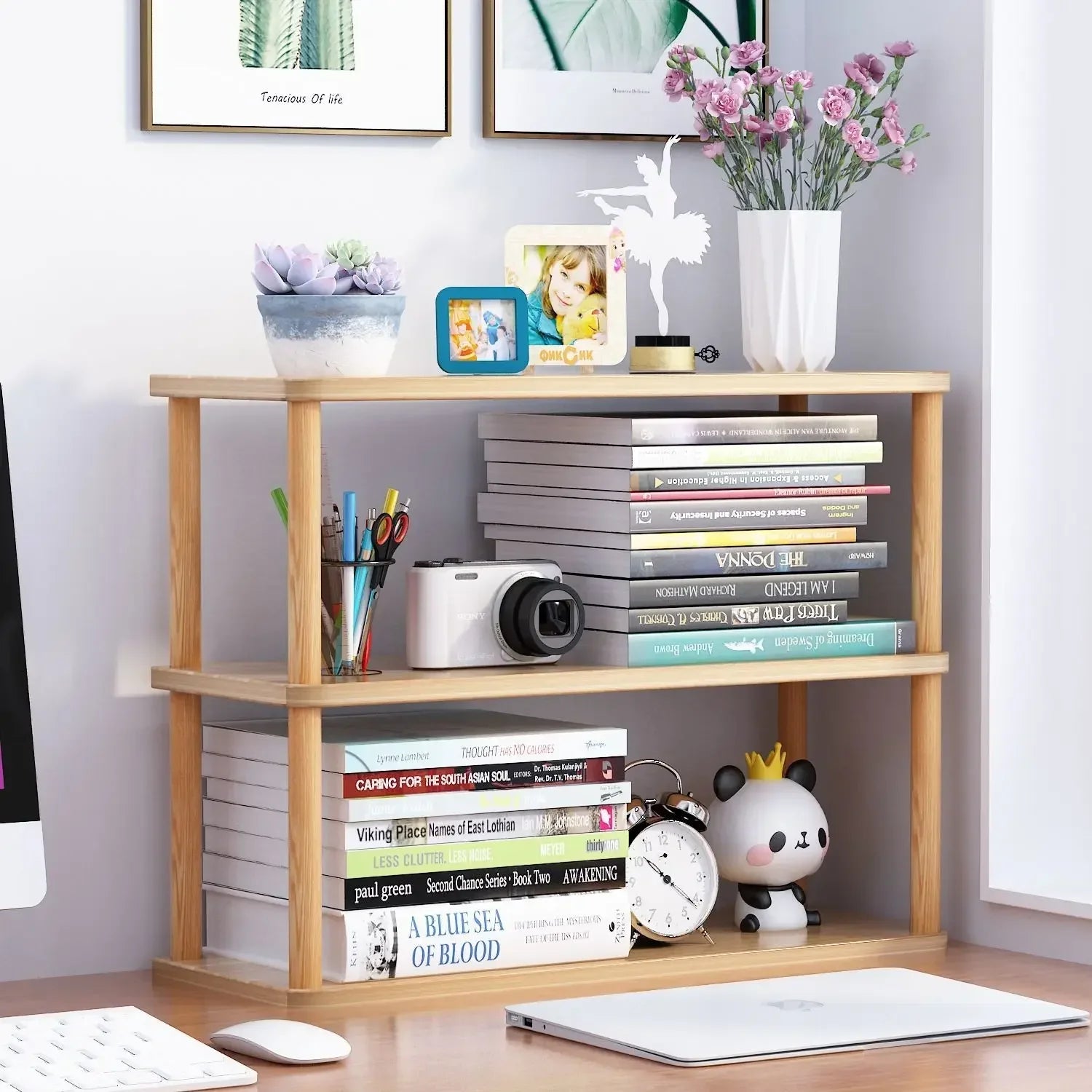 Multi-Layer Book & Office Storage Organizer