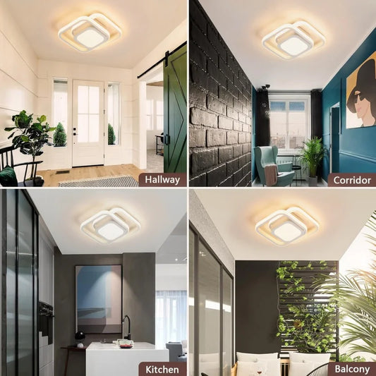Surface Mount Light for Living Room & Hallway
