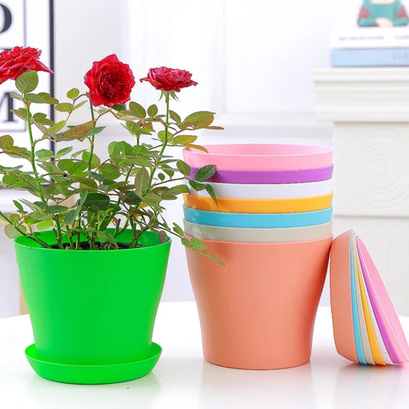 Modern Round Plant Pot for Succulents & Indoor Plants