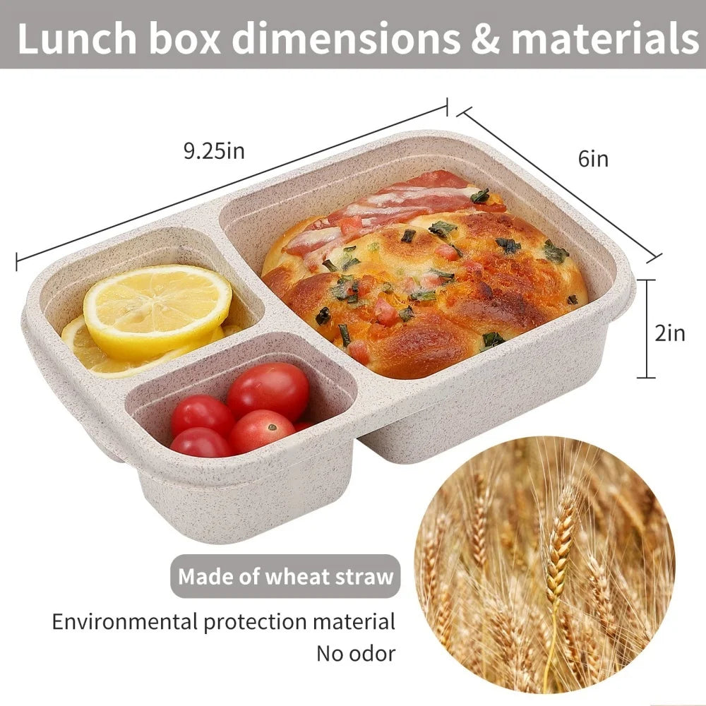 3 Compartment Food Storage Container for Meal Prep & School Lunches