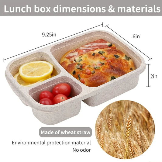 3 Compartment Food Storage Container for Meal Prep & School Lunches