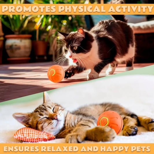 Smart Automatic Bouncing Pet Ball for Dogs & Cats