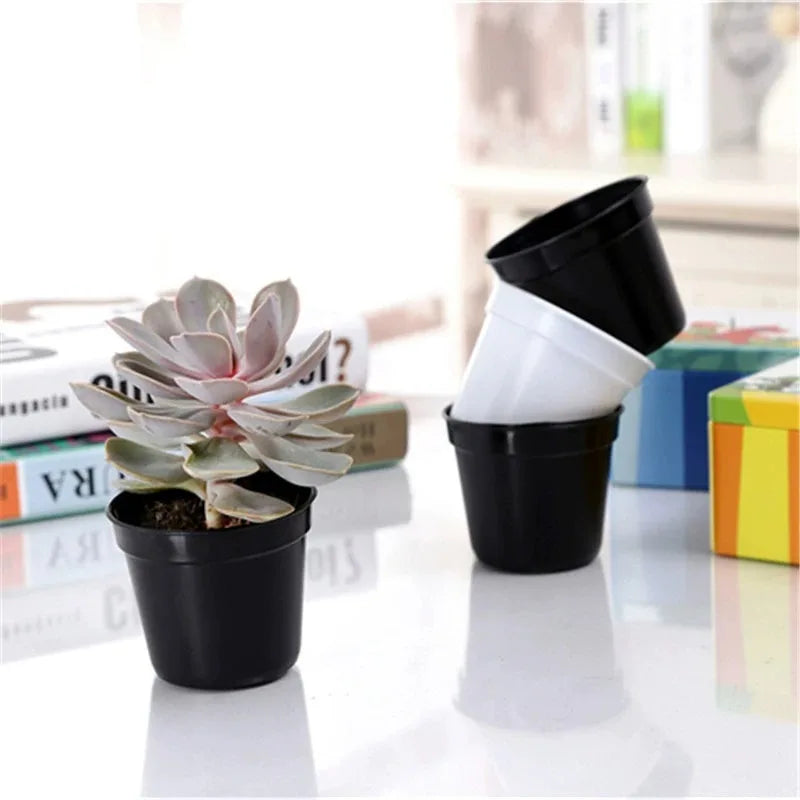 Plastic Seedling Pots