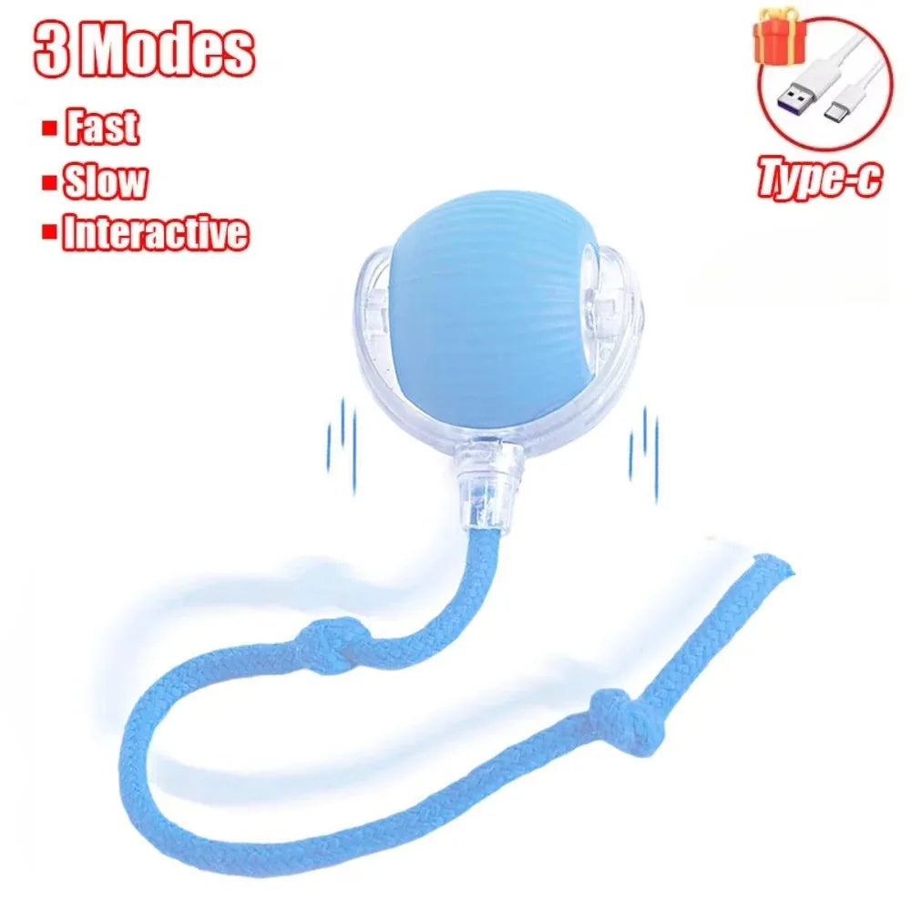 Interactive Rolling Cat Ball Toy