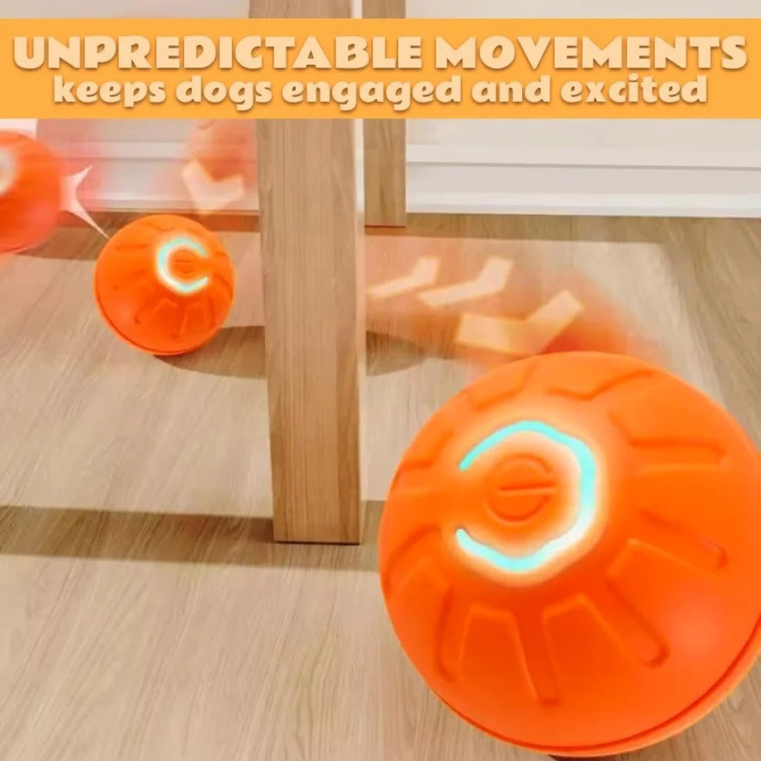 Smart Automatic Bouncing Pet Ball for Dogs & Cats