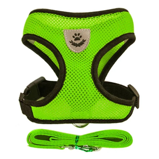 Adjustable Cat Harness & Leash Set