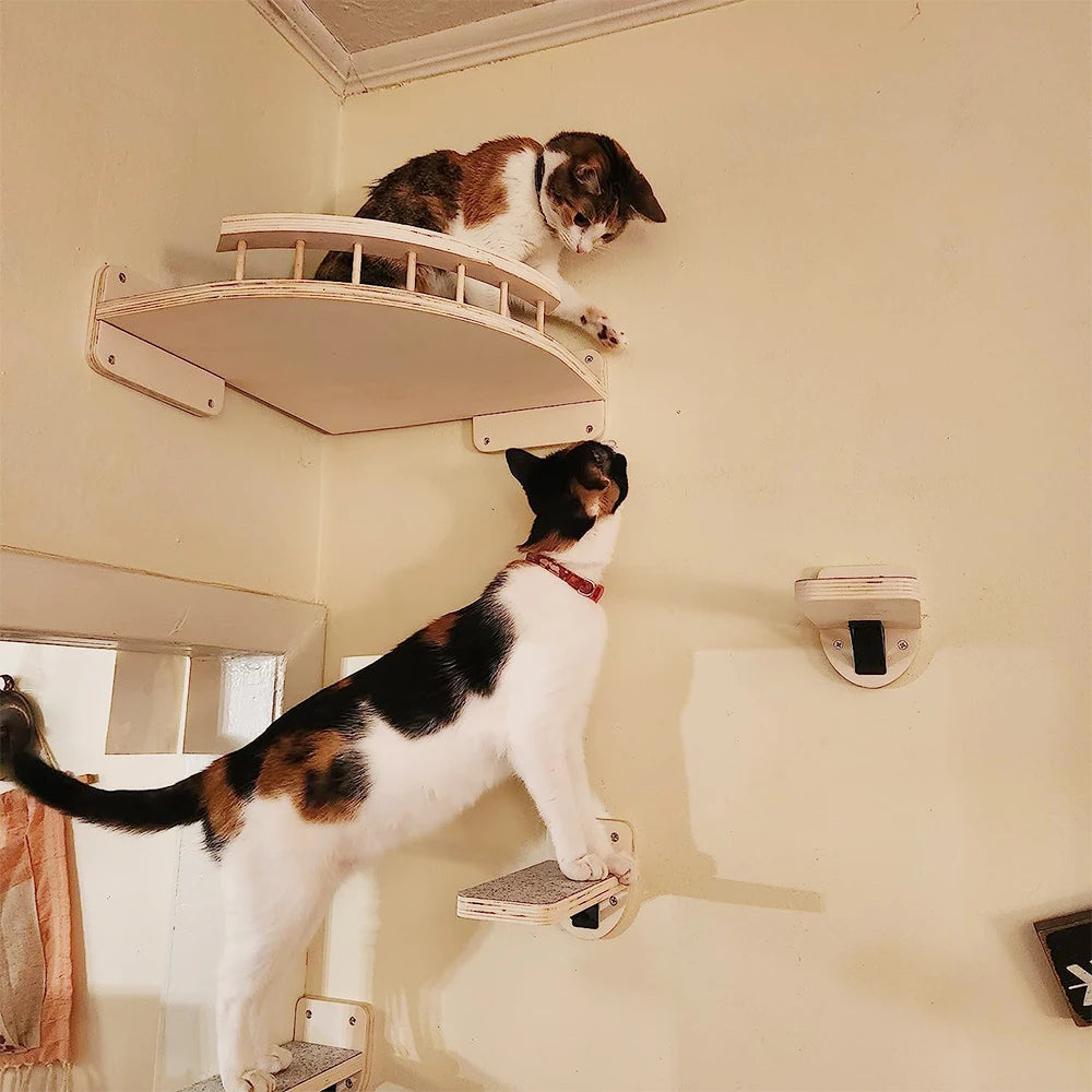 Wall Mounted Cat Climbing Shelf & Scratcher