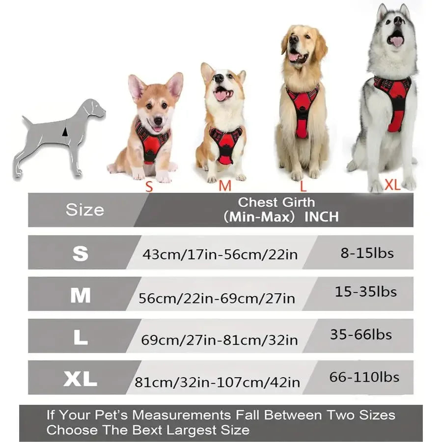 Dog Harness & Leash Set