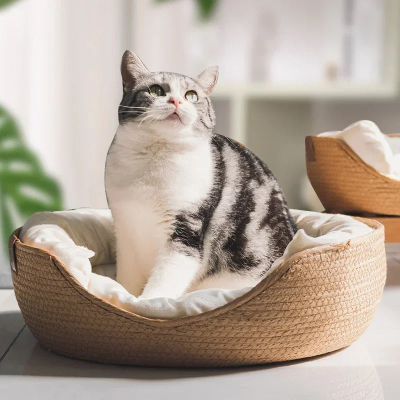 Soft Pet Bed Sofa with Removable Cushion