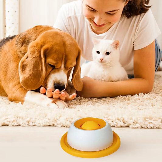 Interactive Slow Feeder Puzzle Toy for Dogs & Cats